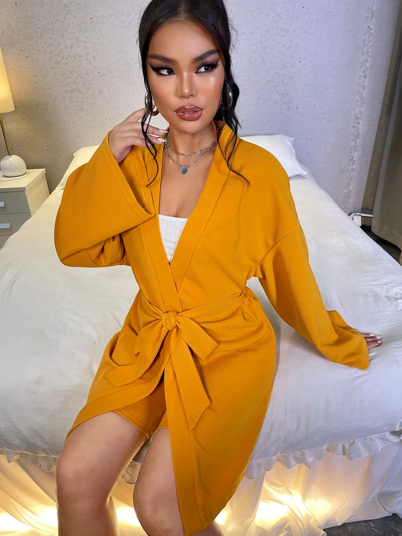 Elegant Plain Belted Long Sleeve Women Two-Piece Outfits