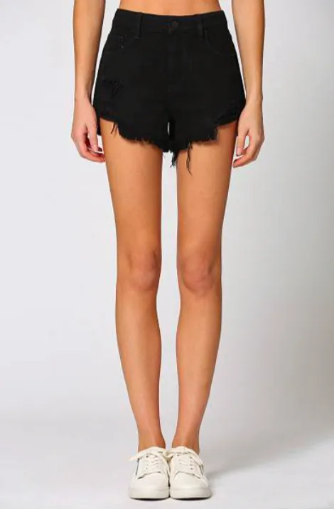 Finn High Rise Distressed Jean Shorts
